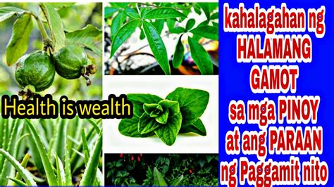 Mga Halamang Gamot at Paraan ng Paggamit: Iba’t .